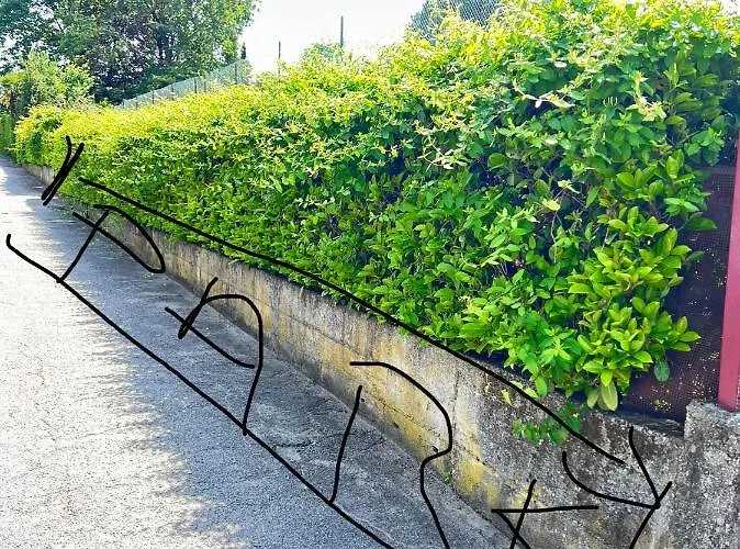 Отель Casa Victoria