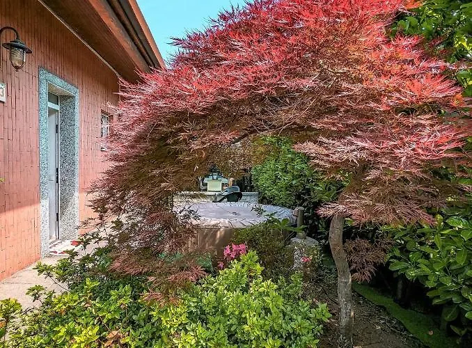 Casa Victoria Hotel 3*